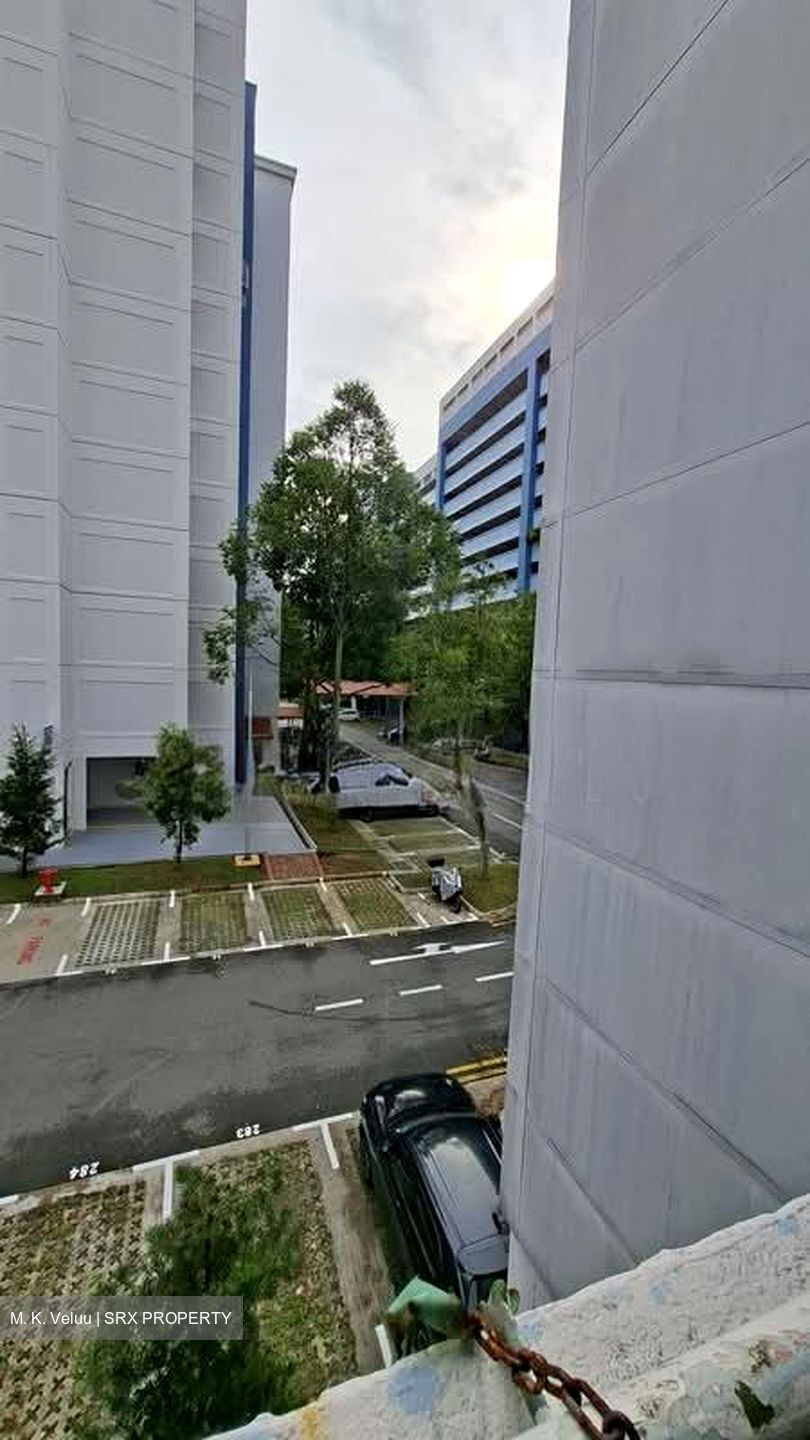 Blk 252 Bukit Batok East Avenue 5 (Bukit Batok), HDB 3 Rooms #589907381